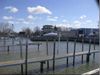 13931 Bridge Dr photo